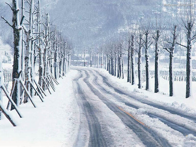 Snow-covered Road
