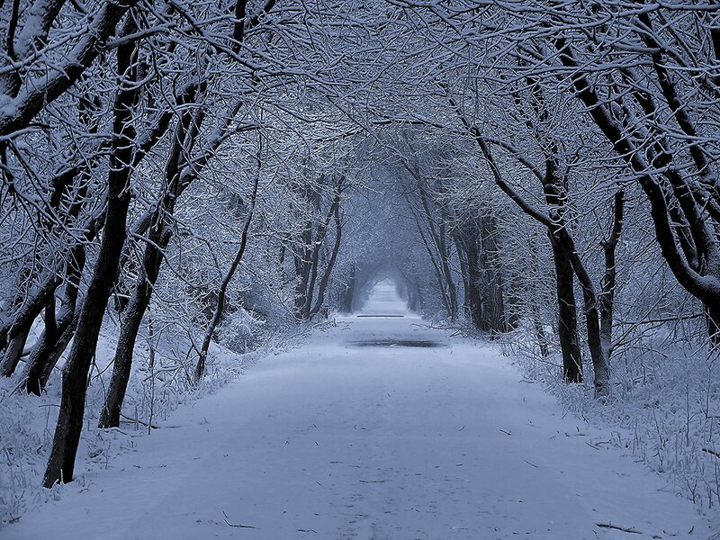 Snow-covered Road Tunnel