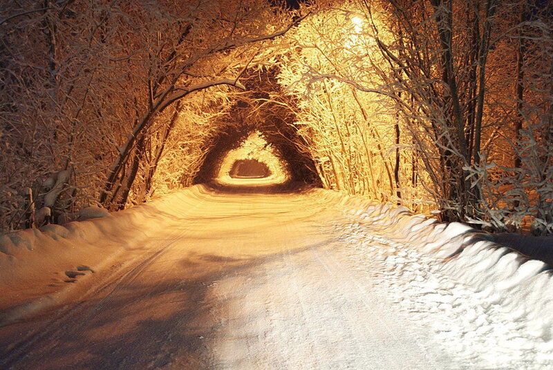 Snow-covered Road Tunnel — White, Serene