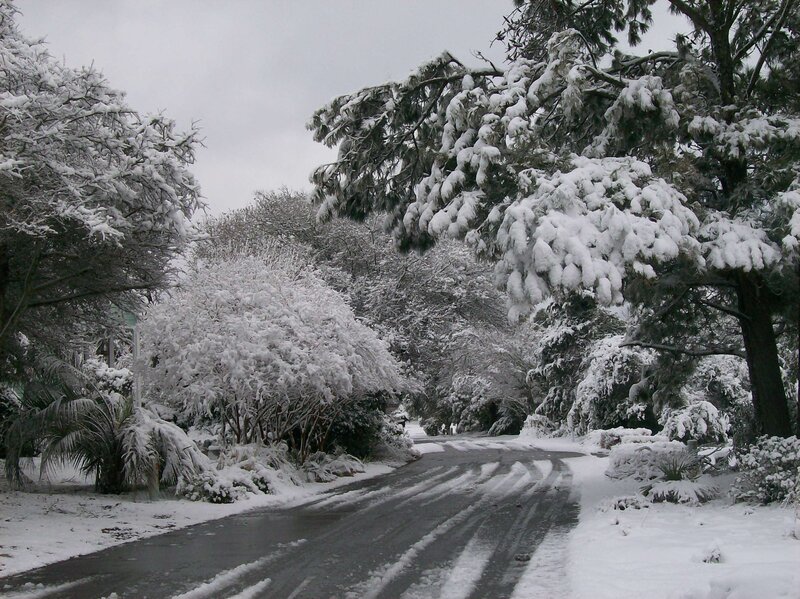 Snow-covered Road — White, Calm, Winter, Photograph
