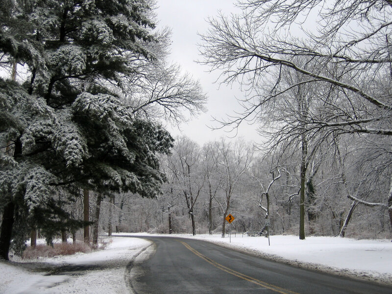 Snow-covered Road — White, Calm, Winter, Photograph, Trees, Road Sign