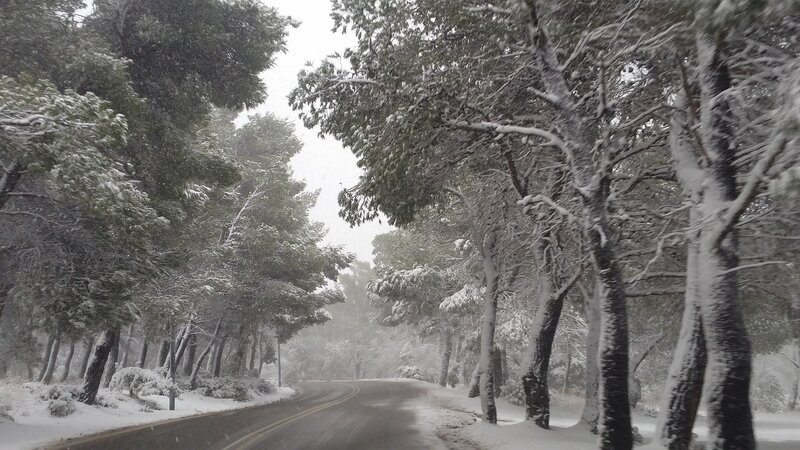 Snow-covered Road — White, Calm, Winter, Photograph, Trees