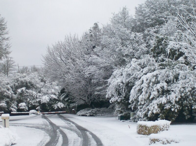Snow-covered Road — White, Calm, Winter