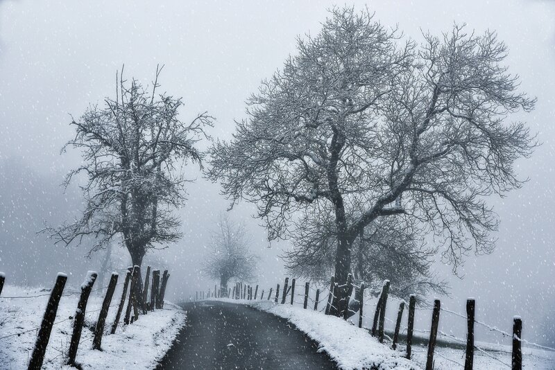 Snow-covered Road — White, Cold, Winter, Photograph, Trees, Fence, Snow