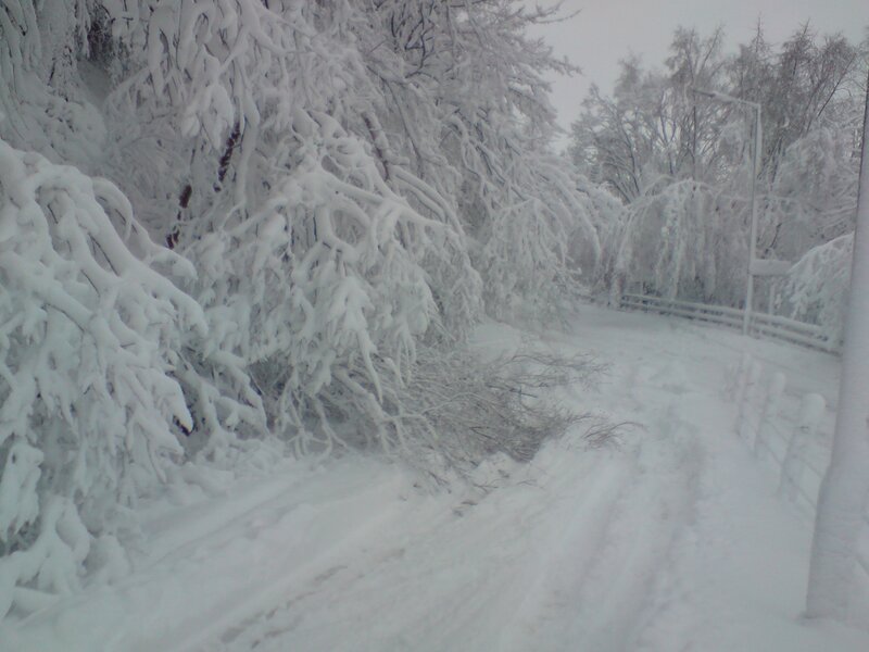 Snow-covered Road — White, Cold, Winter, Photograph, Trees, Fence, Streetlight