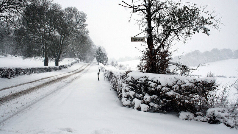 Snow-covered Road — White, Cold, Winter, Photograph, Trees, Hedge