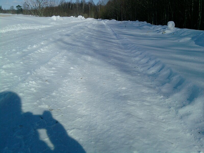 Snow-covered Road — White, Cold, Winter, Photograph, Trees, Shadow