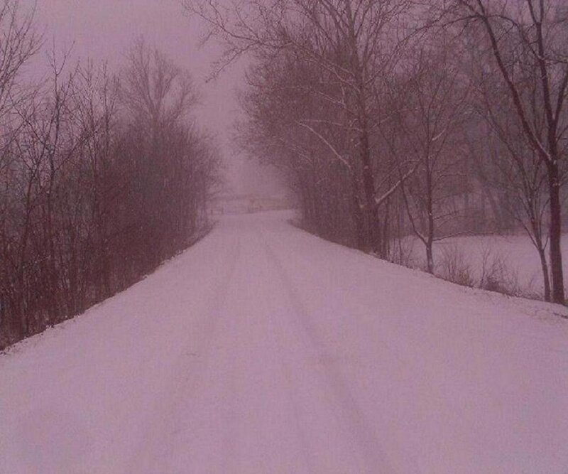 Snow-covered Road — White, Cold, Winter, Photograph, Trees