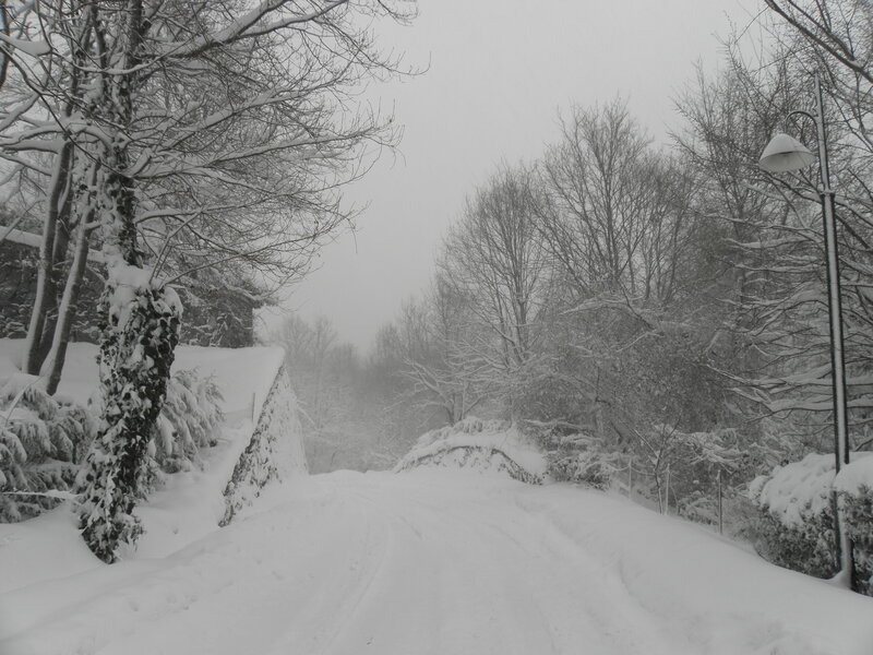 Snow-covered Road — White, Cold, Winter
