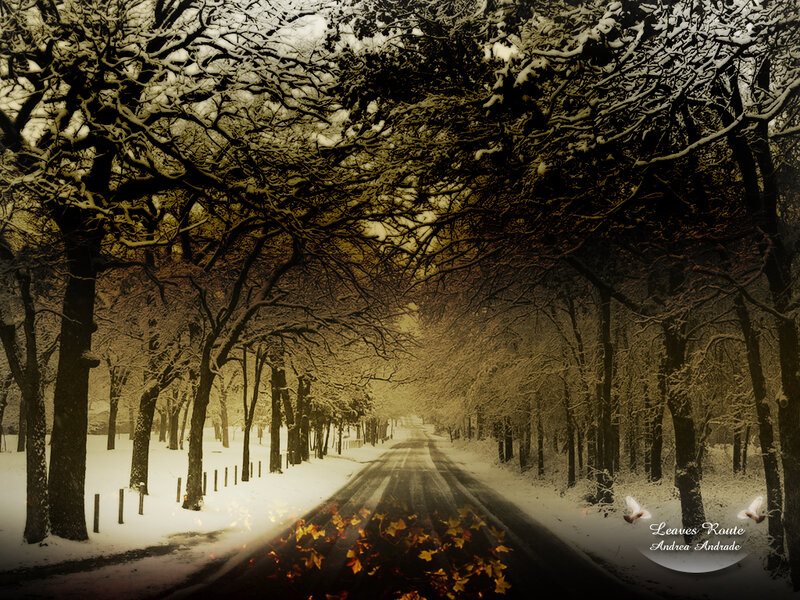Snow-covered Road — White, Serene, Winter, Digital Art, Trees
