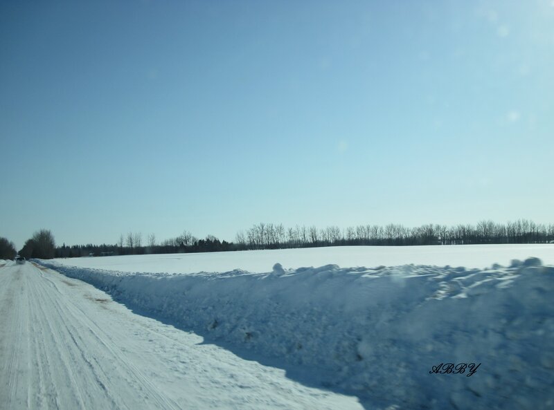 Snow-covered Road — White, Serene, Winter, Photograph, Field
