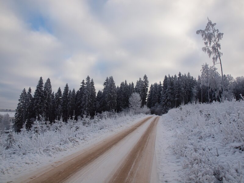 Snow-covered Road — White, Serene, Winter, Photograph, Forest