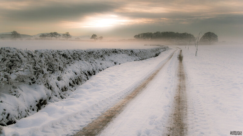 Snow-covered Road — White, Serene, Winter, Photograph, Hedge
