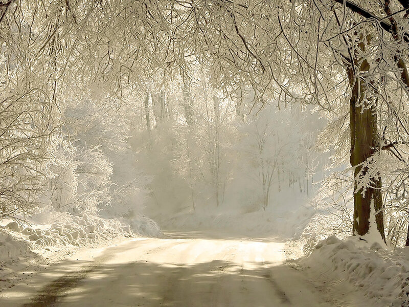 Snow-covered Road — White, Serene, Winter, Photograph