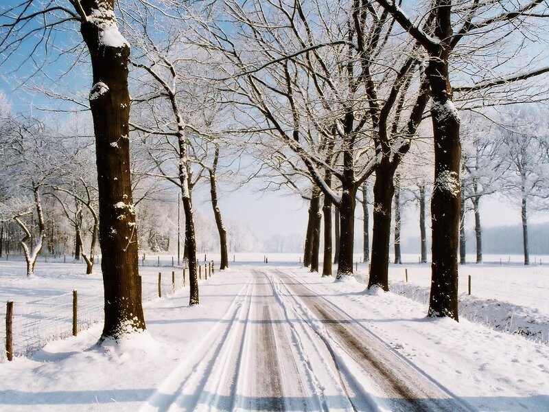 Snow-covered Road — White, Serene, Winter, Photograph, Trees, Fence, Sky, Blue