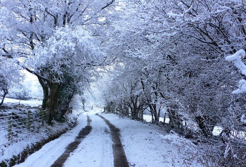 Snow-covered Road — White, Serene, Winter, Photograph, Trees, Fence