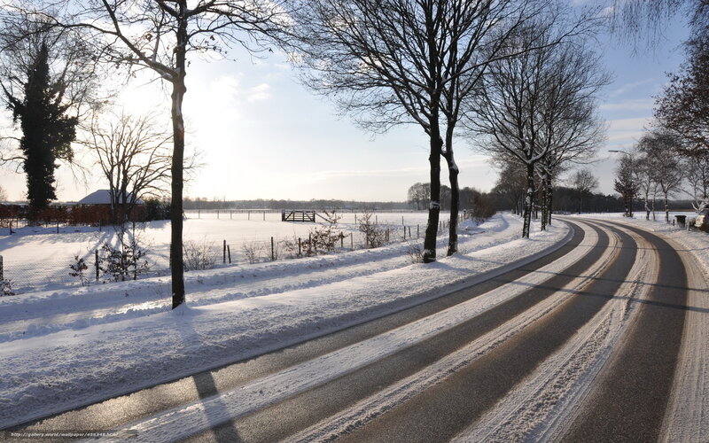Snow-covered Road — White, Serene, Winter, Photograph, Trees, Field, Fence