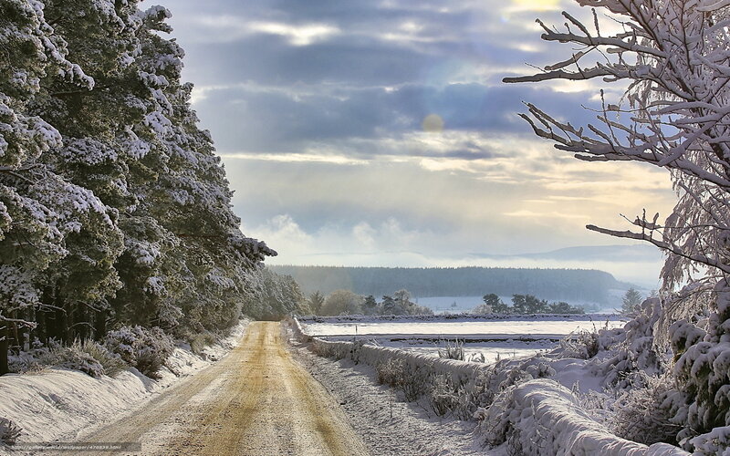 Snow-covered Road — White, Serene, Winter, Photograph, Trees, Field, Sky, Mountains