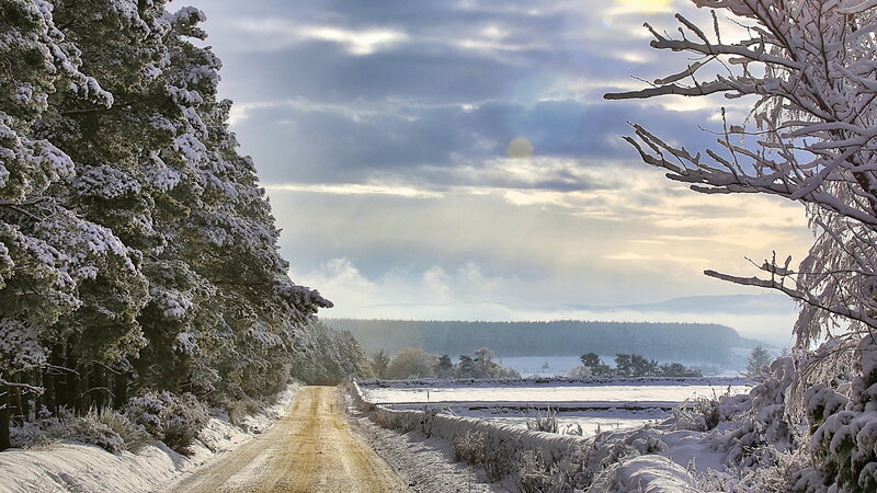 Snow-covered Road — White, Serene, Winter, Photograph, Trees, Field