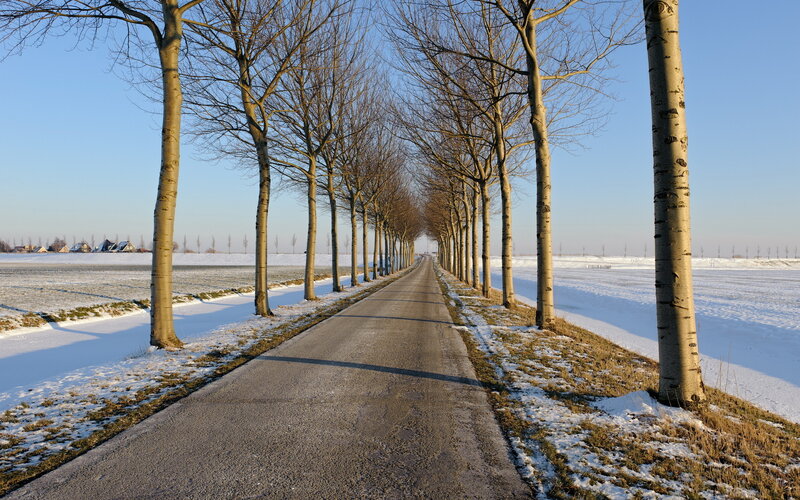 Snow-covered Road — White, Serene, Winter, Photograph, Trees, Fields