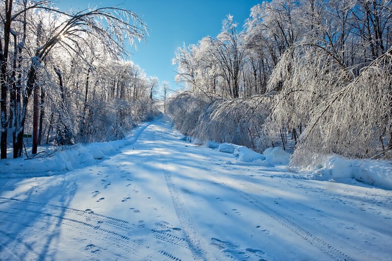 Snow-covered Road — White, Serene, Winter, Photograph, Trees, Footprints