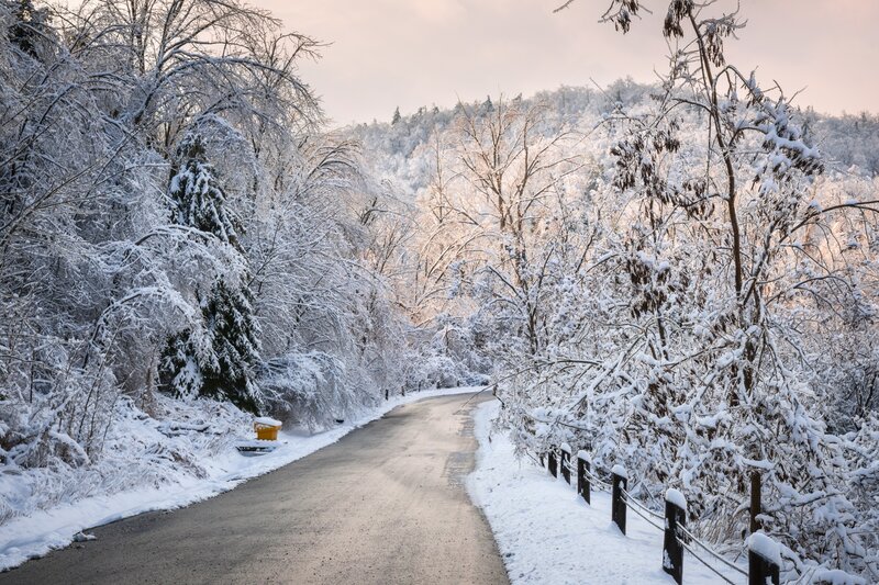Snow-covered Road — White, Serene, Winter, Photograph, Trees, Forest, Fence