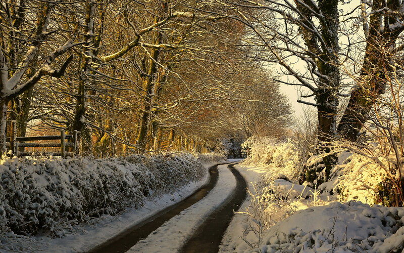 Snow-covered Road — White, Serene, Winter, Photograph, Trees, Hedge