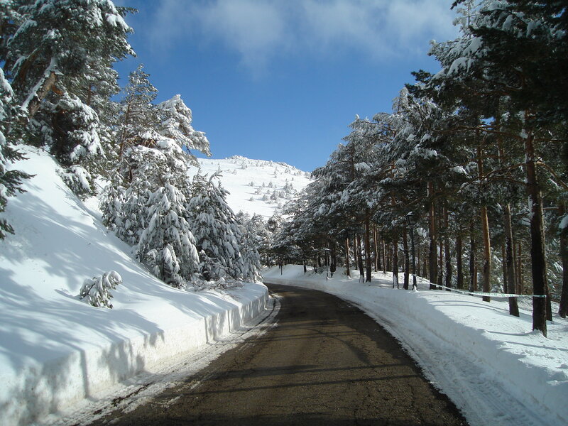 Snow-covered Road — White, Serene, Winter, Photograph, Trees, Mountain