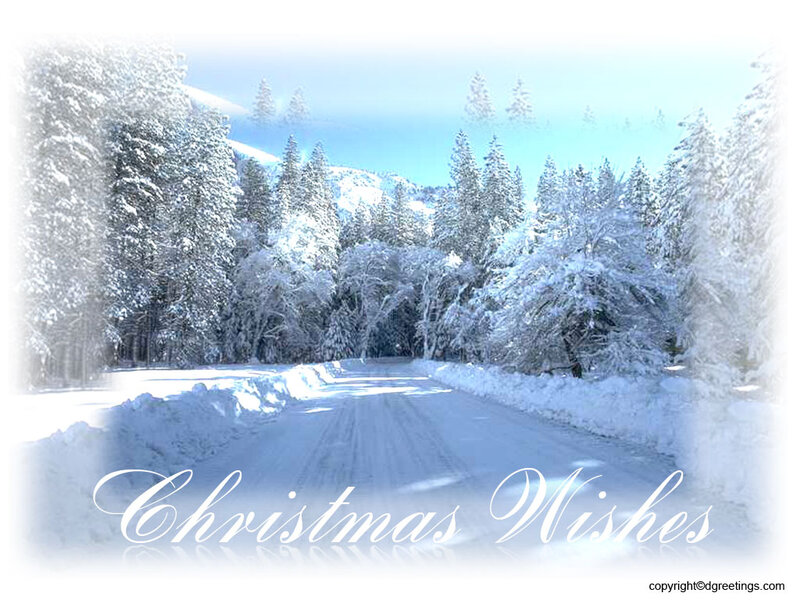 Snow-covered Road — White, Serene, Winter, Photograph, Trees, Mountains