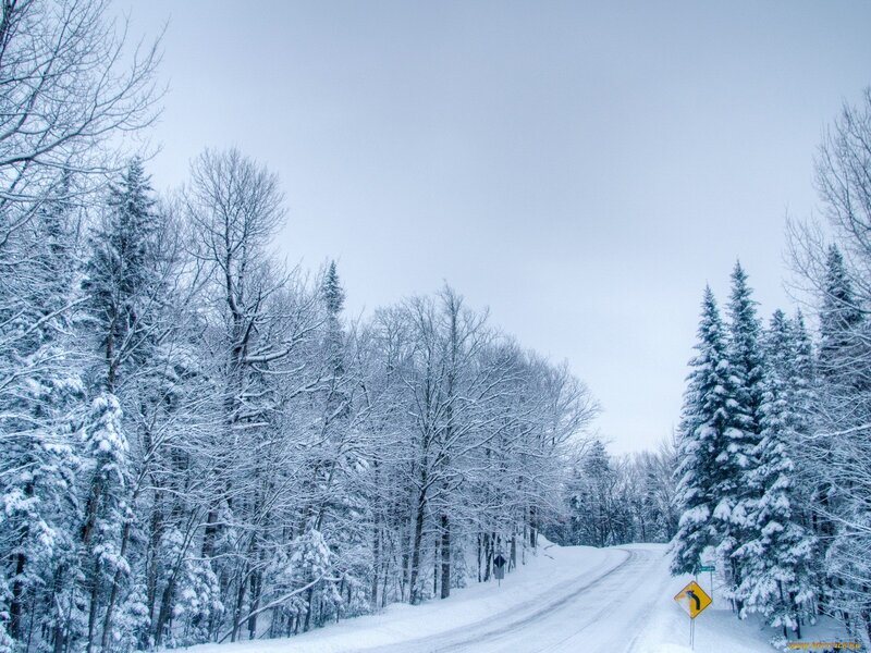 Snow-covered Road — White, Serene, Winter, Photograph, Trees, Road Sign