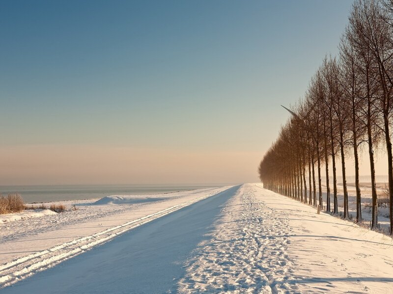 Snow-covered Road — White, Serene, Winter, Photograph, Trees, Sea, Footprints