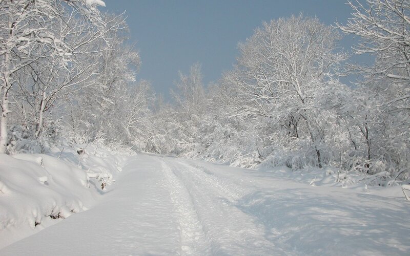 Snow-covered Road — White, Serene, Winter, Photograph, Trees, Snow, Sky, Blue