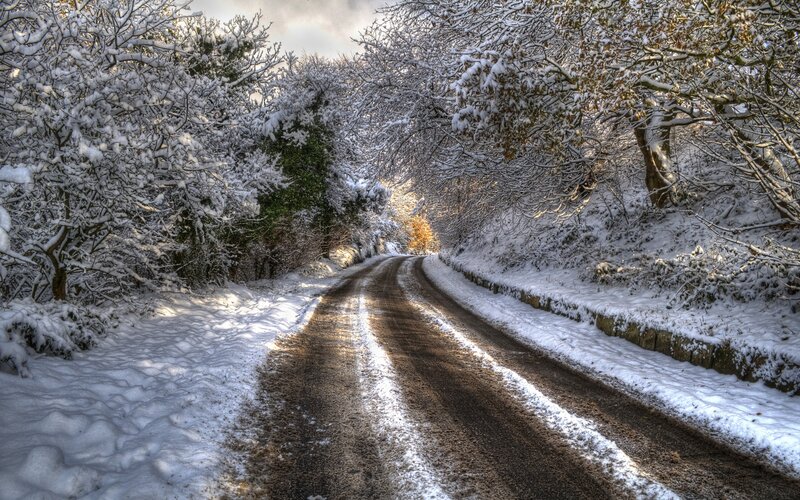 Snow-covered Road — White, Serene, Winter, Photograph, Trees, Snow, Sunlight, Brown, Green