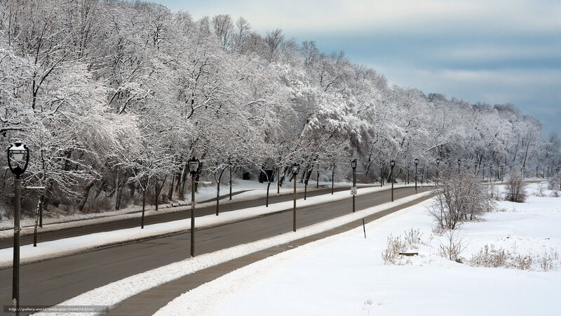 Snow-covered Road — White, Serene, Winter, Photograph, Trees, Streetlights, Sidewalk