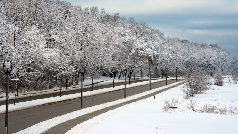 Snow-covered Road — White, Serene, Winter, Photograph, Trees, Streetlights