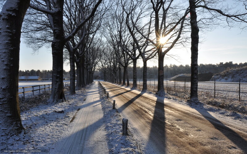 Snow-covered Road — White, Serene, Winter, Photograph, Trees, Sun, Fences