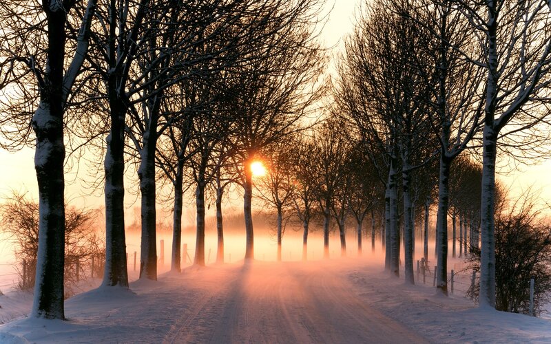 Snow-covered Road — White, Serene, Winter, Photograph, Trees, Sun, Fog