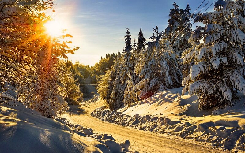 Snow-covered Road — White, Serene, Winter, Photograph, Trees, Sun