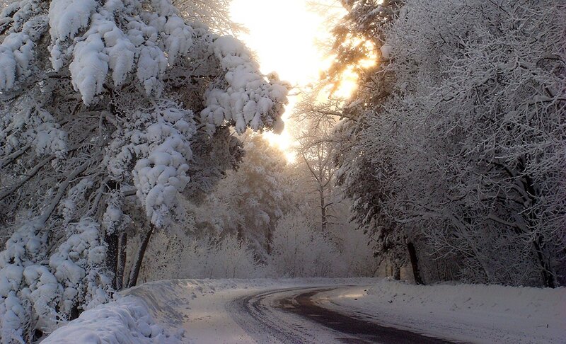 Snow-covered Road — White, Serene, Winter, Photograph, Trees, Sunlight