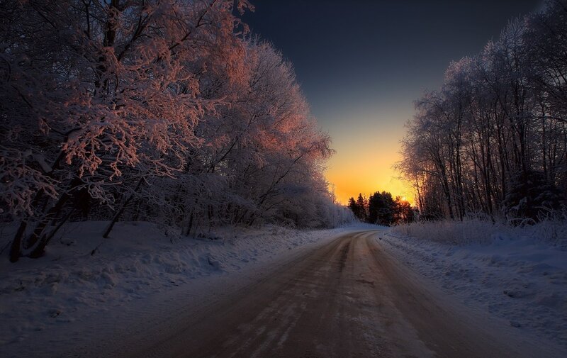 Snow-covered Road — White, Serene, Winter, Photograph, Trees, Sunset