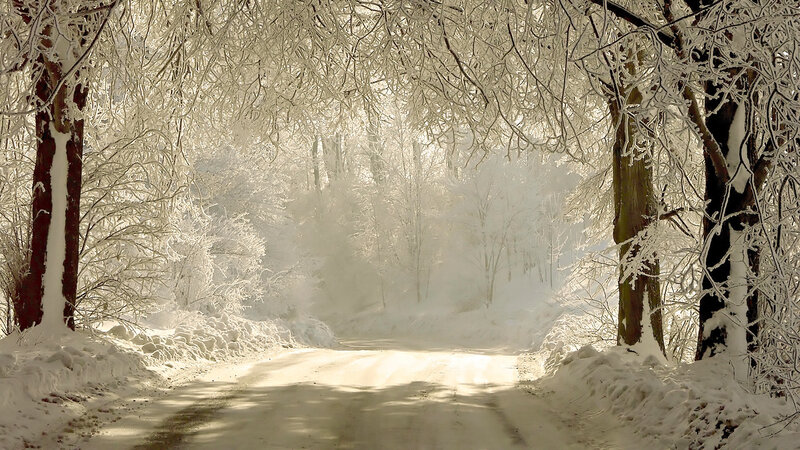 Snow-covered Road — White, Serene, Winter, Photograph, Trees