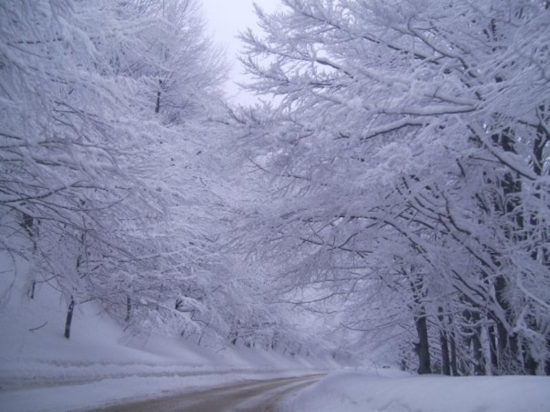 Snow-covered Road — White, Serene, Winter