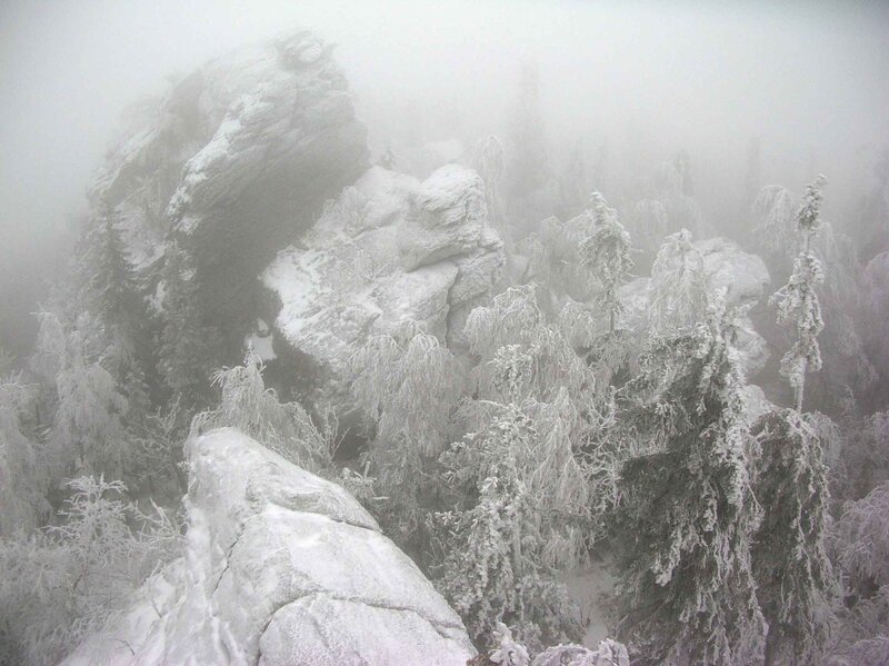 Snow-covered rocks and trees
