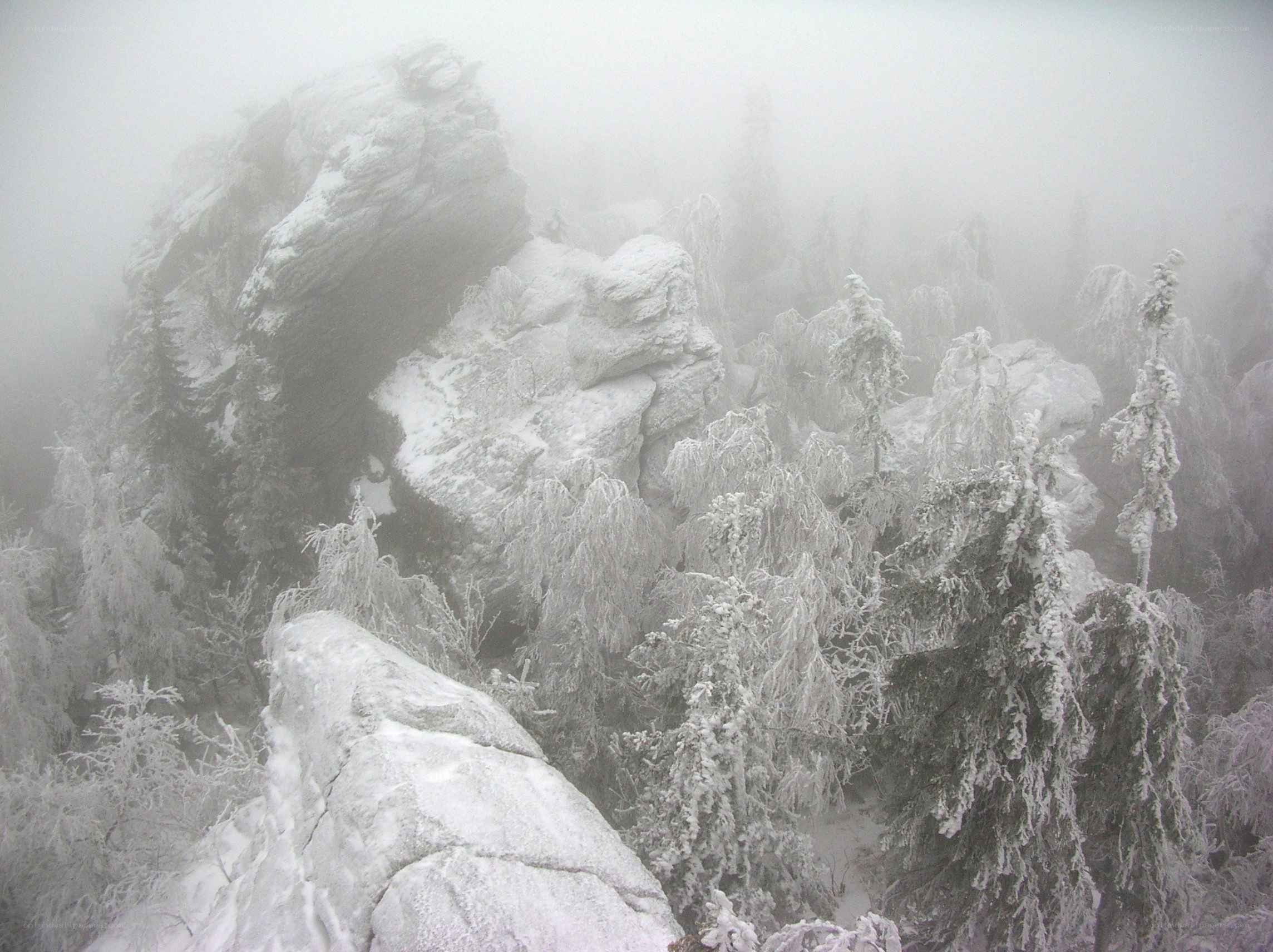 Snow-covered rocks and trees