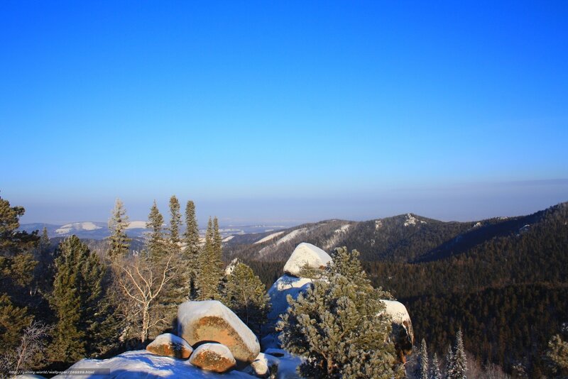 Snow-covered Rocks and Trees — Blue