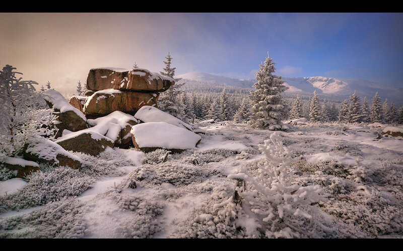 Snow-covered Rocks and Trees — White