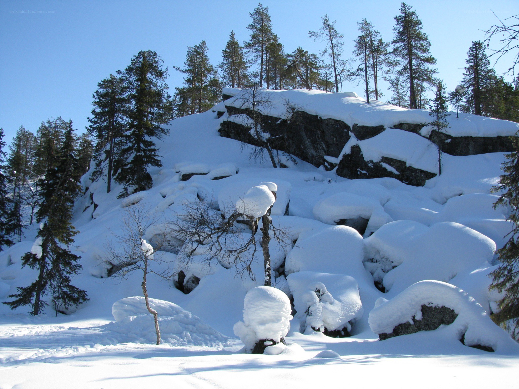 Snow-covered rocks and trees