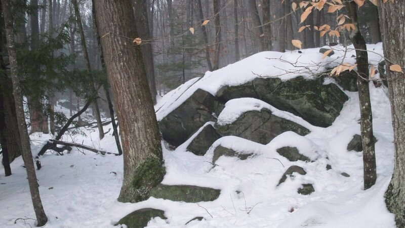 Snow-covered Rocks in Forest