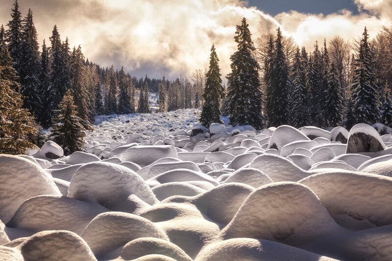 Snow-covered Rocks in Forest — White, Serene