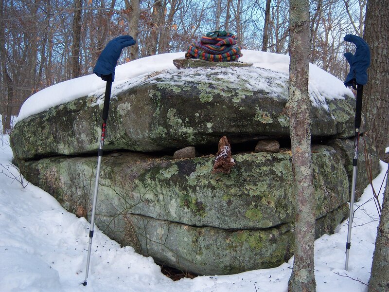 Snow-covered Rocks in Forest — White